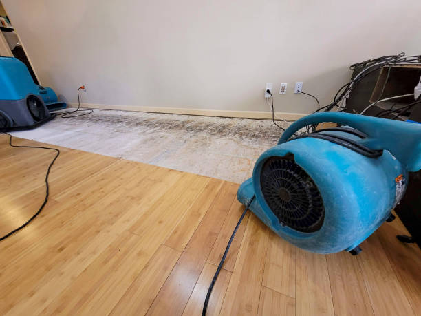 Professional Structural Drying technician working in Russell, KS